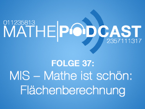 MIS – Mathe ist schön: Flächenberechnung